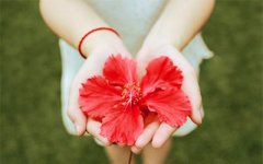 揭秘|处女膜修复手术到底是怎么做的?