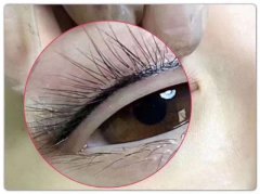 种睫毛要多少钱？果怎么样？简介和优缺点盘点