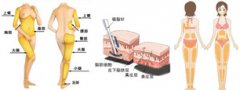 被闺蜜硬拖到成都八大处做的吸脂 做完我就后悔没早点来了