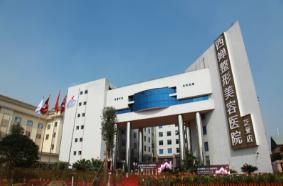 成都美容医院排名是怎么样的？晶肤、赵善军、星范等五家机构上榜