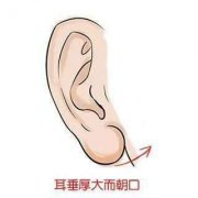 耳部整形垂耳果好吗？做完整形后耳部有什么变化