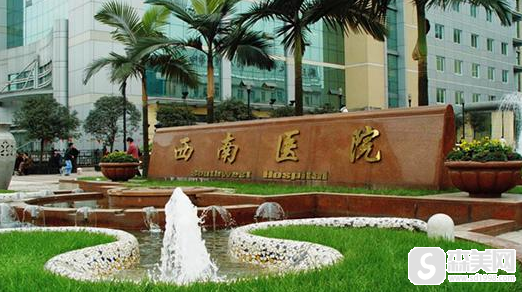 重庆有欧洲之星这个项目的医院！医院信息,医生信息