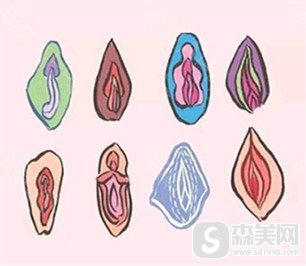 童晋文医生的私密技术好吗,找他做放心吗,附恢复日记分享