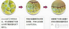 光纤溶脂原理是什么？价格是多少？附光纤溶脂案例前后果对比图