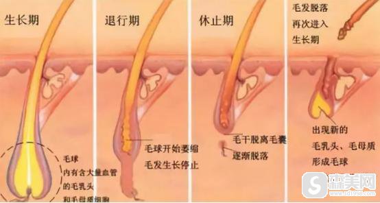 脸部激光脱毛要多少钱?果怎么样？附激光脱唇毛案例＋脱毛前后果对比图