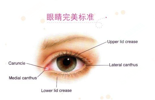 双眼皮的果好吗?附案例分享及2021较新价格一览表